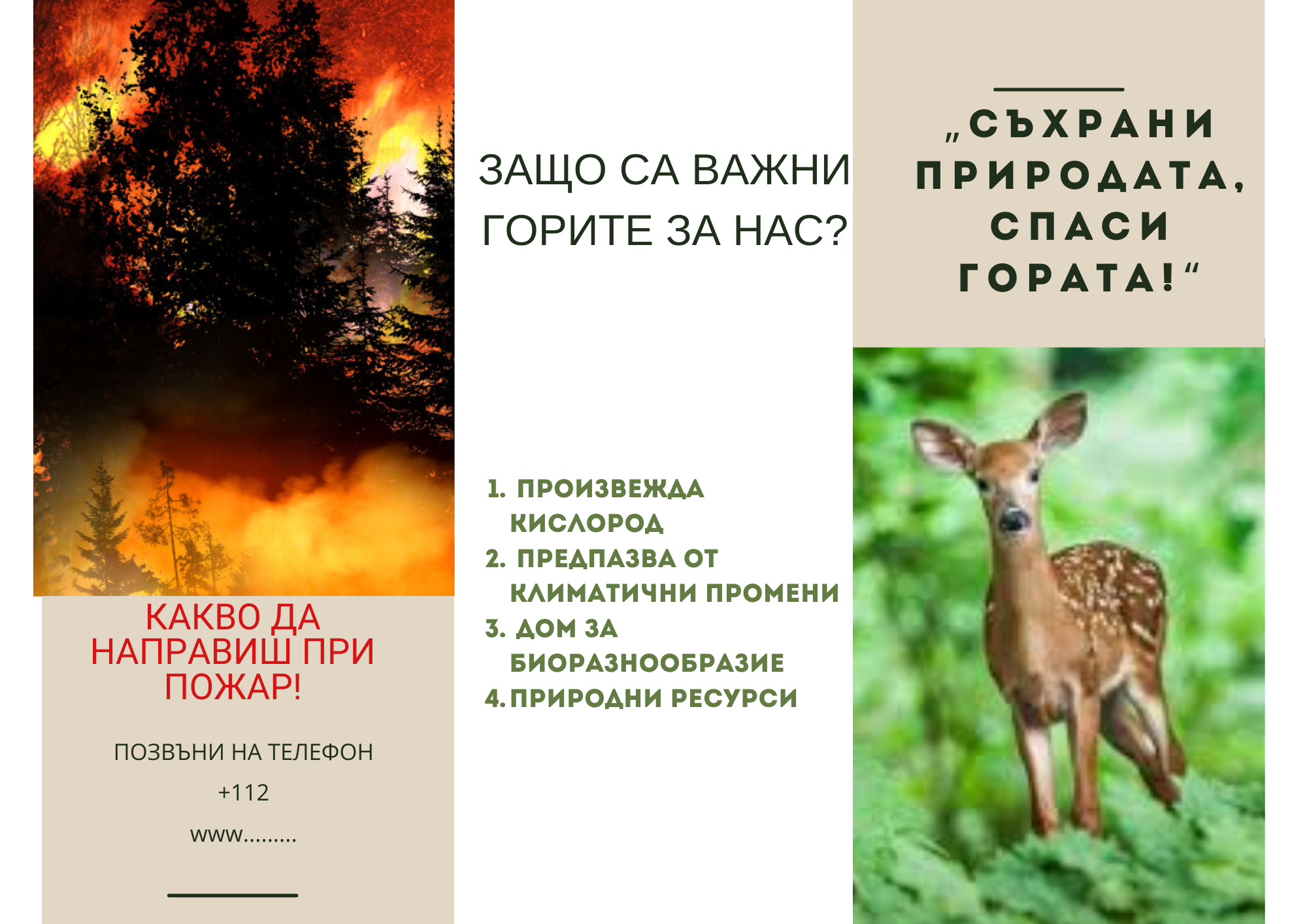Пожари брошура предна страна
